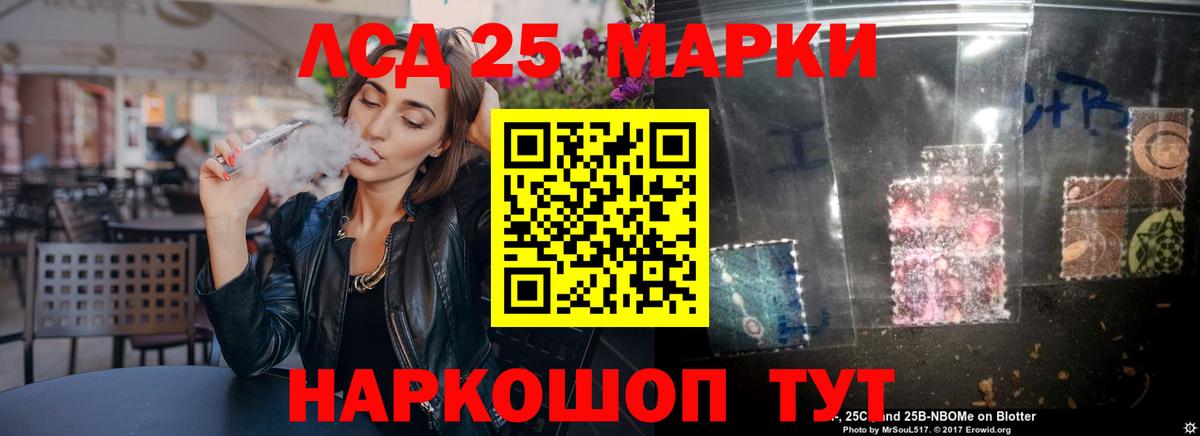 Псилоцибиновые грибы Северск