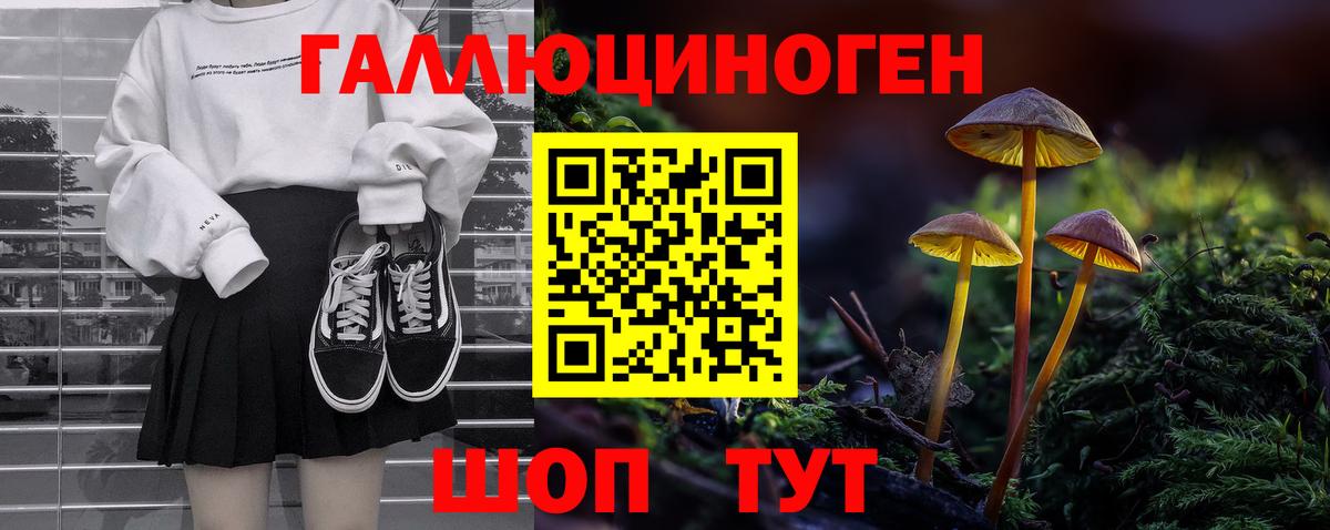 сколько стоит  Вход с VPN  Северск  Галлюциногенные грибы Psilocybine cubensis 