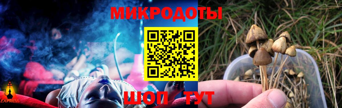 Галлюциногенные грибы Cubensis Северск